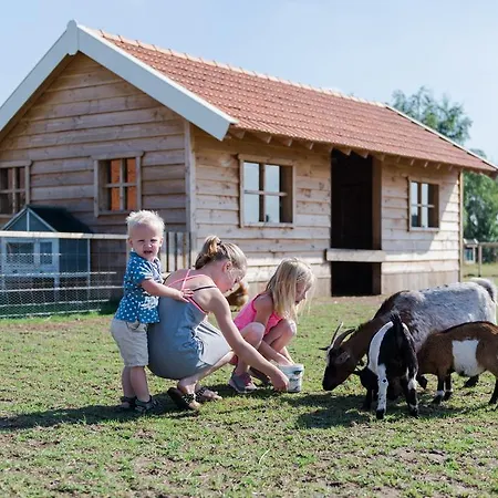 Wertemerhoeve Evertsoord